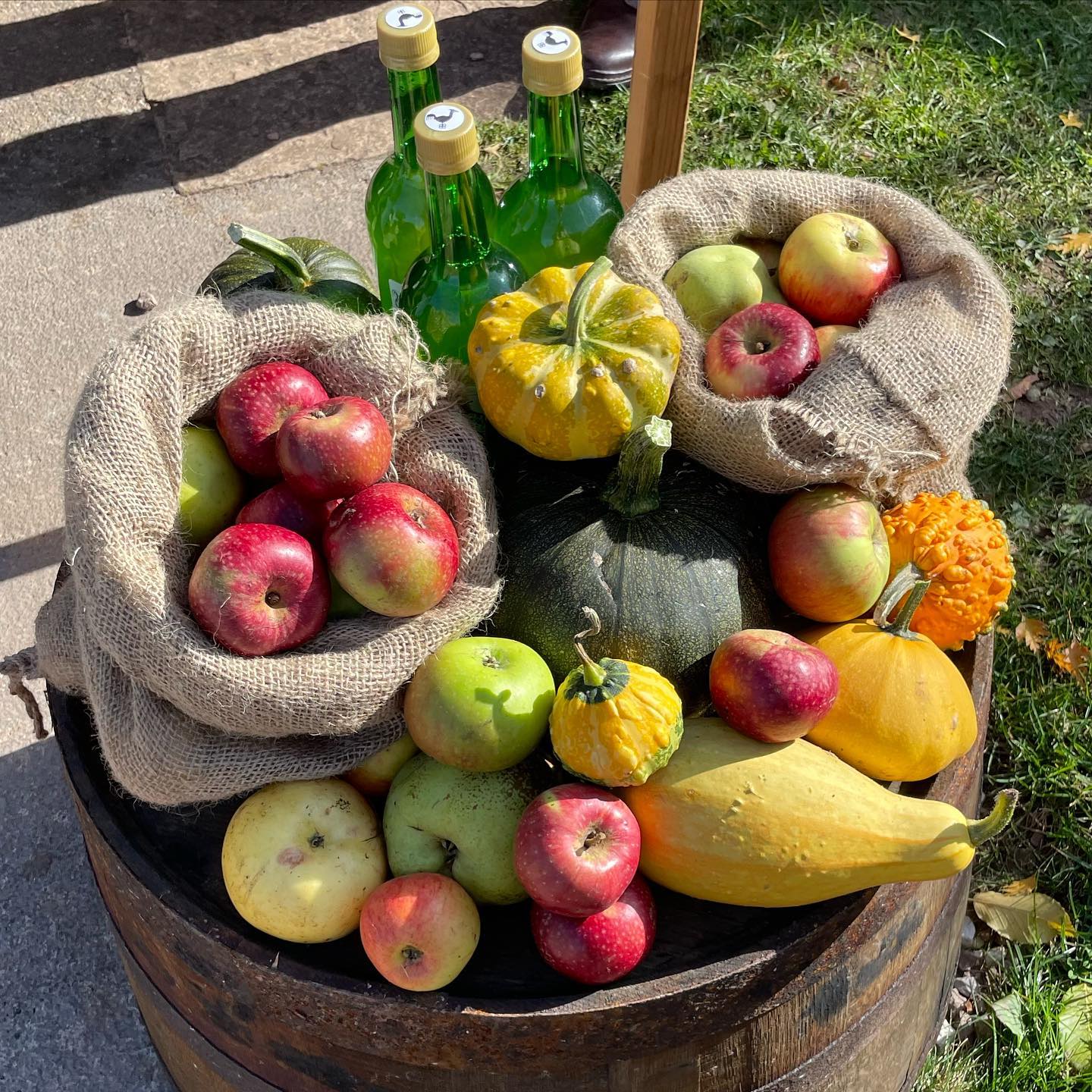 The Big Apple Harvestime