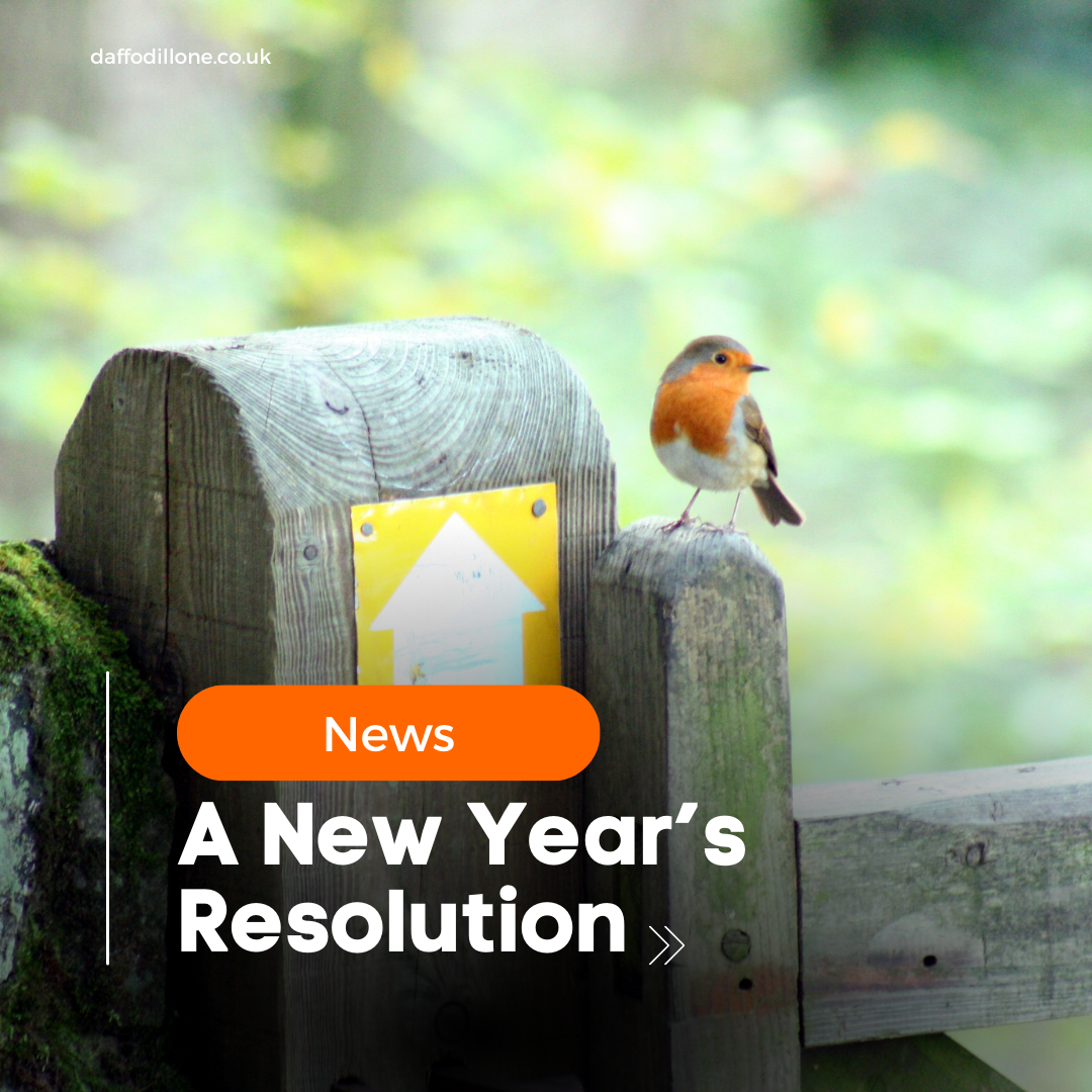 A New Year’s Resolution, for People, Place and Planet