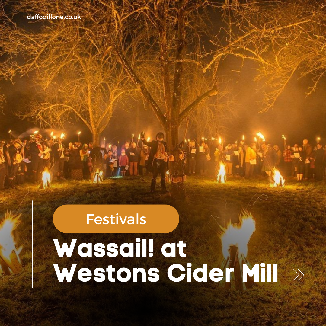Wassail!