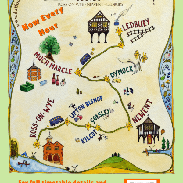 New Hourly Bus Service as 232 Daffodil Line Doubles Departures