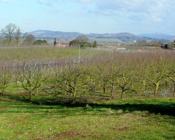 A New Chapter for Castle Fruit Farm & Bentley’s Barn