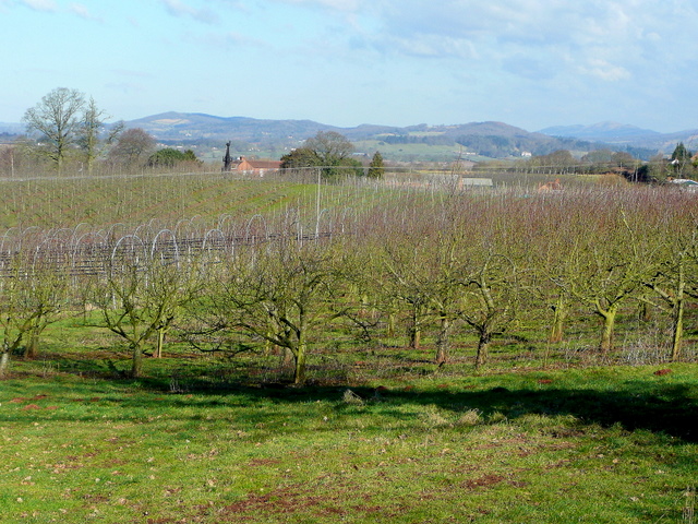 A New Chapter for Castle Fruit Farm & Bentley’s Barn
