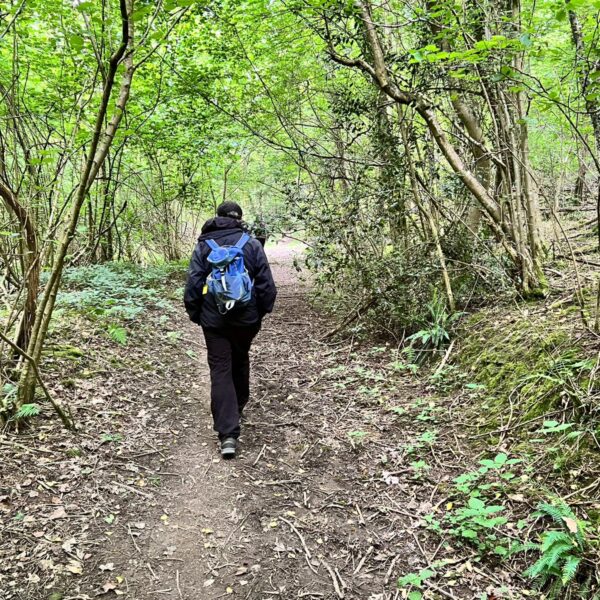 Walk with the Bus: Kilcot to Newent via Acorn Wood