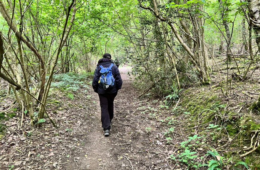 Walk with the Bus: Kilcot to Newent via Acorn Wood