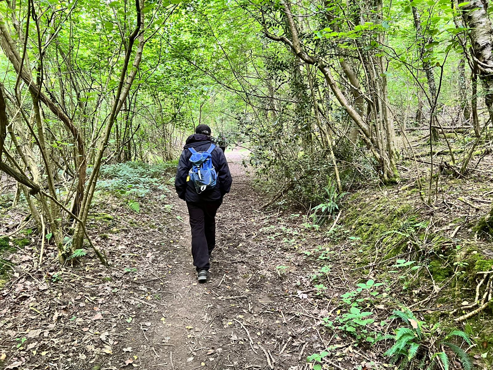 Walk with the Bus: Kilcot to Newent via Acorn Wood