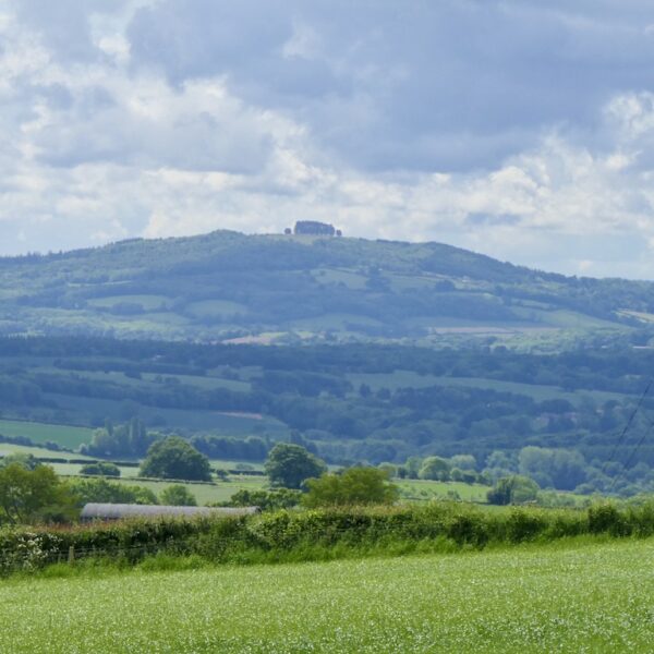 May Hill: Gloucestershire’s Crowned Custodian of Spring