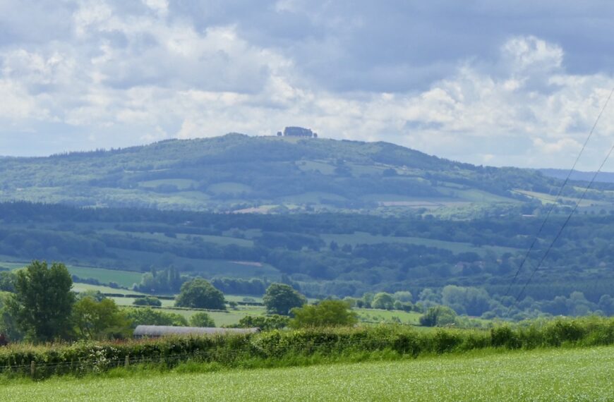 May Hill: Gloucestershire’s Crowned Custodian of Spring