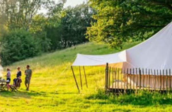 Our Top Spots for camping along the Daffodil Line